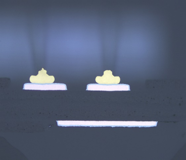 image.gif