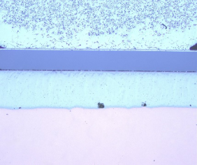 image.gif