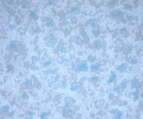 image.gif