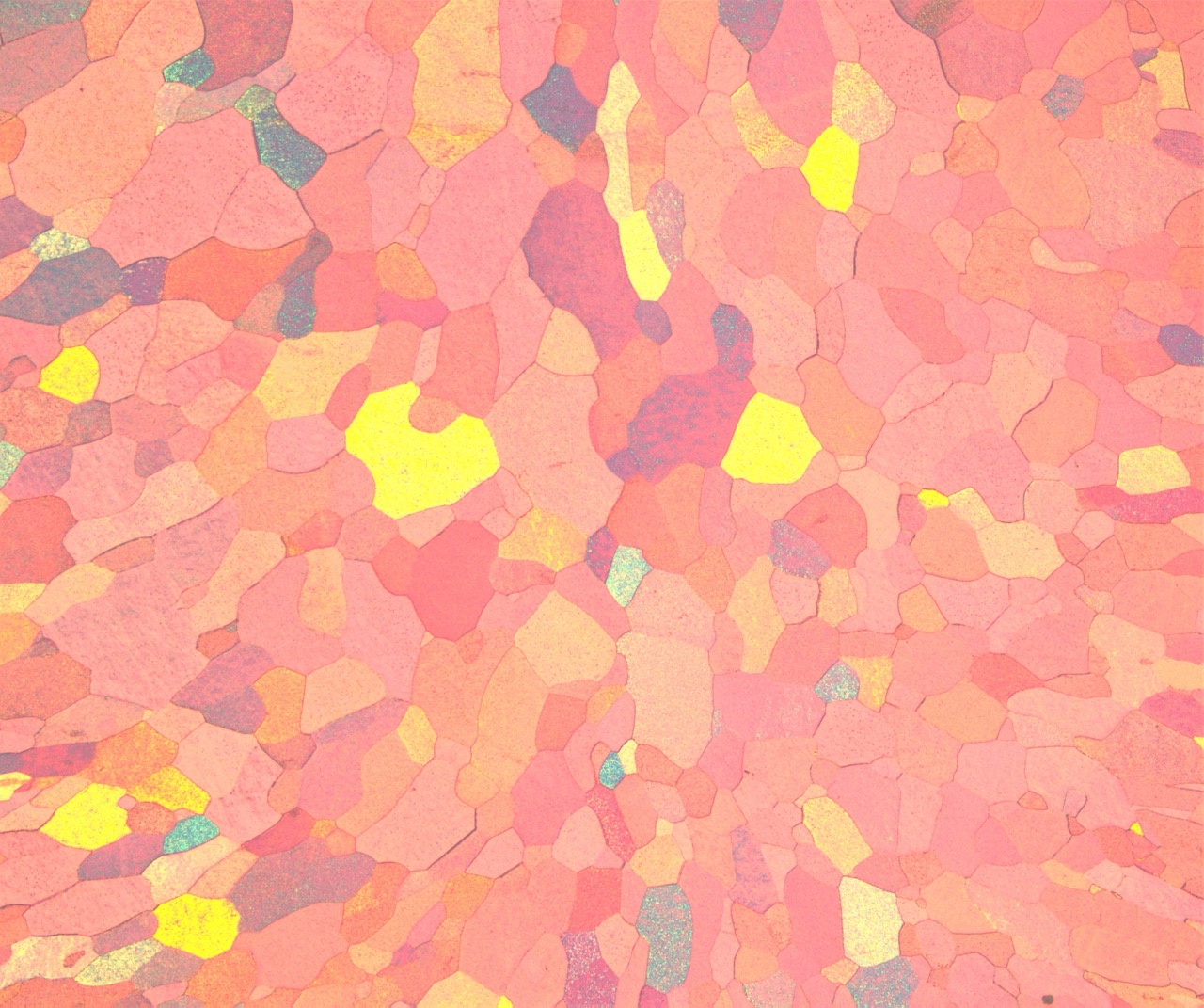 1770023621528977.jpeg 100x局部偏光大.jpeg